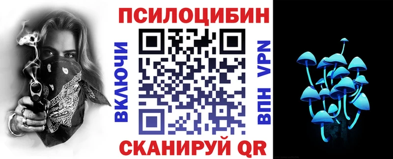 Галлюциногенные грибы мухоморы  кракен маркетплейс  Новохопёрск 
